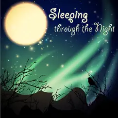 Relaxation Music (Bedtime Stories for kids) Song Lyrics