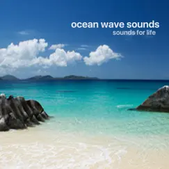 Waves Crashing on the Beach Song Lyrics