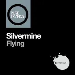 Flying - Single by Silvermine album reviews, ratings, credits