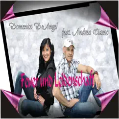 Feuer und Leidenschaft (feat. Andrea TiAmo) by Domenico de Angel album reviews, ratings, credits