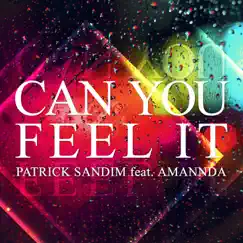 Can You Feel It (feat. Amannda) [DJ Thiago & Tom Siher Remix] Song Lyrics