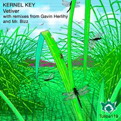 Vetiver - Single by Kernel Key album reviews, ratings, credits