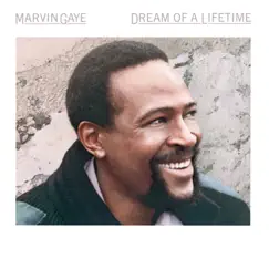 Dream of a Lifetime by Marvin Gaye album reviews, ratings, credits