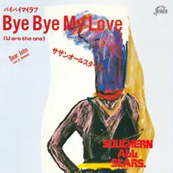Bye Bye My Love (U Are the One) Song Lyrics