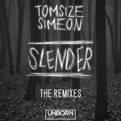 Slender (Debroka Remix) Song Lyrics