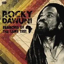 Branches of the Same Tree by Rocky Dawuni album reviews, ratings, credits