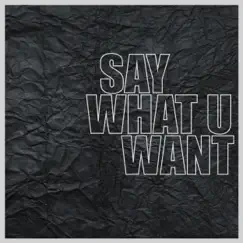 Say What U Want - Single by Patrick Baker album reviews, ratings, credits