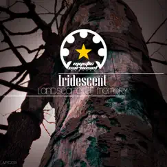 Landscape of Memory - Single by Iridescent album reviews, ratings, credits