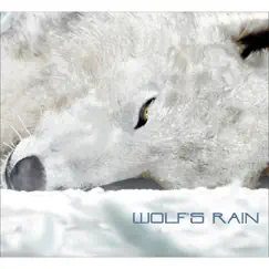 Run,Wolf Warrior Run Song Lyrics