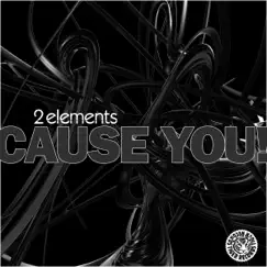 Cause You! (EDM Mix) Song Lyrics