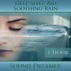Soothing Rain (Deep Sleep Aid) [For Tinnitus, Insomnia, De-Stress, Massage, Meditation, Holistic Healing, Relaxation] [1 Hour] by Sound Dreamer album reviews, ratings, credits