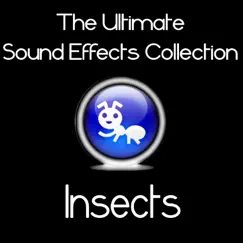 Ultimate Sound Effects Collection - Insects by Pro Sound Effects Library album reviews, ratings, credits