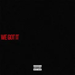 We Got It - Single by Myke Green album reviews, ratings, credits