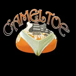 Desperate Hearts - Single by Cameltoe album reviews, ratings, credits