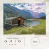 Ohio (filous Remix) - Single album lyrics, reviews, download