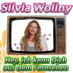 Hey, ich kenn Dich aus dem Fernsehen - Single by Silvia Wollny album reviews, ratings, credits