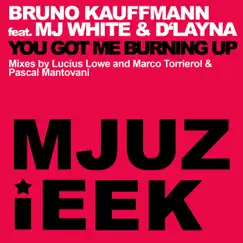 You Got Me Burning Up (feat. MJ White & D'Layna) - Single by Bruno Kauffmann album reviews, ratings, credits