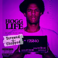 Hogg Life: The Beginning (Screwed & Chopped) by Slim Thug album reviews, ratings, credits