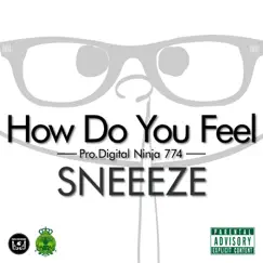 HOW DO YOU FEEL - Single by SNEEEZE album reviews, ratings, credits