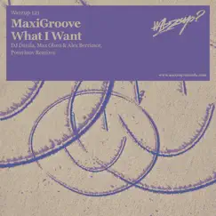 Maxigroove + What I Want - Single by MaxiGroove album reviews, ratings, credits