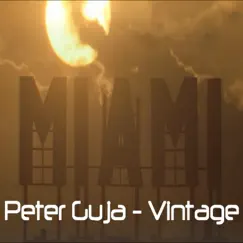 Vintage - Single by Peter Guja album reviews, ratings, credits