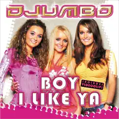 Boy I Like Ya (Karaoke versie) Song Lyrics