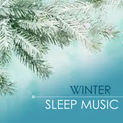 Winter Sleep Music - Relaxing Nature Sounds for a Cold City Night by Winter Sleep Music Academy album reviews, ratings, credits