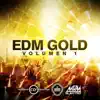 EDM Gold, Vol. 1 album lyrics, reviews, download