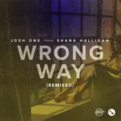 Wrong Way (Beat Vent Brake Remix) [feat. Shana Halligan] Song Lyrics