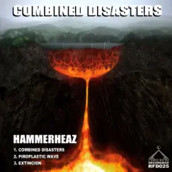 Combined Disasters Song Lyrics