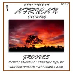 African Evening Grooves, Vol. 2 by ZBRA album reviews, ratings, credits