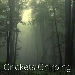 Crickets Chirping - Single by TMSOFT album reviews, ratings, credits