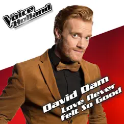 Love Never Felt So Good (From The Voice of Holland 5) - Single by David Dam album reviews, ratings, credits