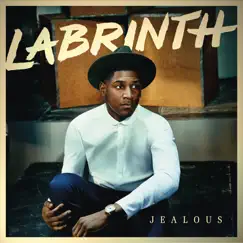 Jealous (TIEKS Remix) Song Lyrics