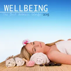 Wellbeing: The Best Wellness Songs 2015 for Meditation, Relaxation, Massage, Yoga, Reiki by Wellness album reviews, ratings, credits