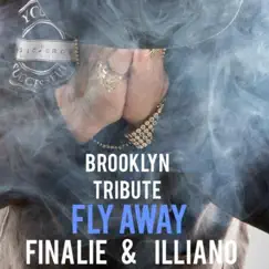 Fly Away (Brooklyn) [feat. Illiano] Song Lyrics