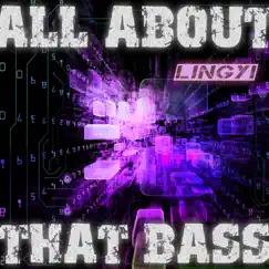 All About That Bass (Lips Are Movin Mashup Edit) Song Lyrics