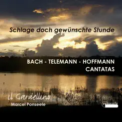 Schlage doch, gewünschte Stunde by Il Gardellino album reviews, ratings, credits