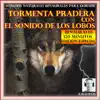 Sonidos Naturales Binaurales para Dormir: Tormenta Pradera Con el Sonido de los Lobos: 120 Minutos Edición Especial album lyrics, reviews, download