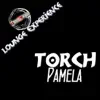 Pamela (Lounge Experience) - EP album lyrics, reviews, download