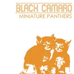 Miniature Panthers Song Lyrics