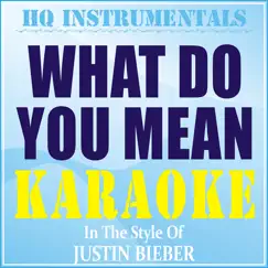 What Do You Mean? (Instrumental / Karaoke Version) [In the Style of Justin Bieber] - Single by HQ INSTRUMENTALS album reviews, ratings, credits