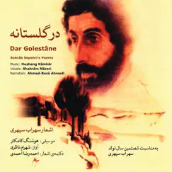 Dar Golestane, Pt. 1: T.6 (feat. Ahmad-Reza Ahmadi) Song Lyrics