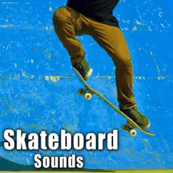 Indoor Skate Park: Single Rider Passes by on Concrete 2 Song Lyrics