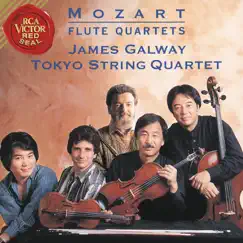 Quartet in G Major, K. 285a: II. Tempo di Menuetto Song Lyrics