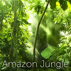 Amazon Jungle - Single by TMSOFT album reviews, ratings, credits