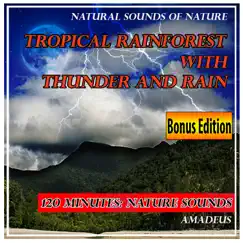 Tropical Rainforest with Thunder and Rain: Natural Sounds of Nature: Bonus Edition by Amadeus album reviews, ratings, credits