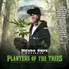 Planters of the Trees (feat. Winstrong) song lyrics