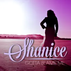 Gotta Blame Me - Single by Shanice album reviews, ratings, credits