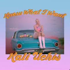 Know What I Want Song Lyrics